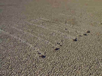 Bí ẩn đá tự dịch chuyển trên Thung lũng Chết - 5