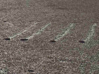 Bí ẩn đá tự dịch chuyển trên Thung lũng Chết - 6