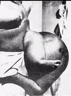 Người 4 chân, 3 tay - 3