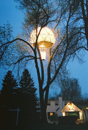 Nhà cây có một không hai! (Phần 2) - 4