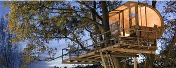 Nhà cây có một không hai! (Phần 2) - 2