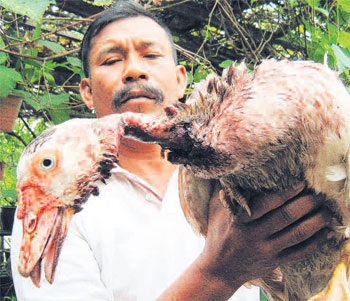 Bị cắt cổ 2 lần mà không chết - 1