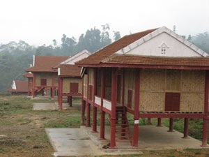 Phập phồng đêm cuối Đan Lai  - 1