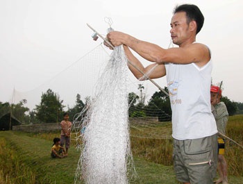 Săn chim trời mùa gặt - 1 Săn chim trời mùa gặt - 1