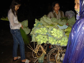 Những cánh hoa đêm - 1 Những cánh hoa đêm - 1