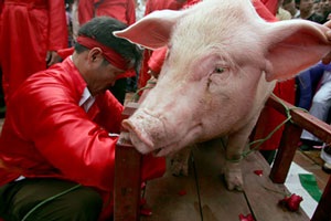 Dự hội chém lợn ở Bắc Ninh - 1