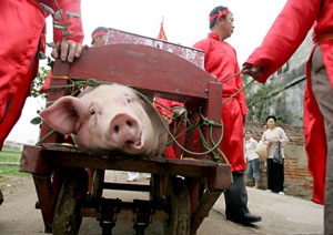 Dự hội chém lợn ở Bắc Ninh - 2