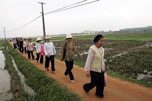 Dự hội chém lợn ở Bắc Ninh - 4