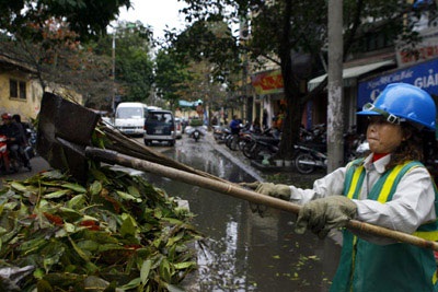 Hà Nội: Khổ vì lá - 4