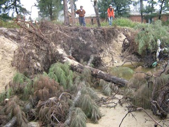 Nước biển uy hiếp nhà dân - 3 Nước biển uy hiếp nhà dân - 3