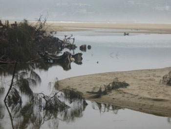 Nước biển uy hiếp nhà dân - 7 Nước biển uy hiếp nhà dân - 7