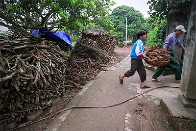 Đặc sản cá kho làng “Vũ Đại” - 6