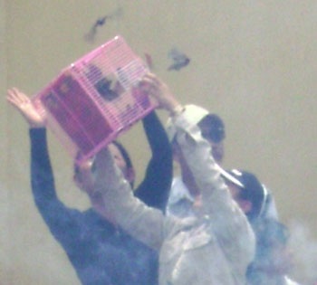 Tháng giêng đi lễ chùa Bà…  - 13