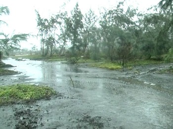 Hàng trăm người dân rủ nhau đập phá trang trại lợn - 1