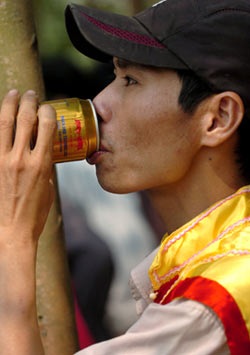 Lễ hội chọi trâu cổ xưa nhất Việt Nam - 4 Lễ hội chọi trâu cổ xưa nhất Việt Nam - 4