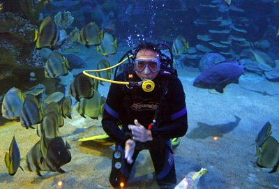 Chiêm ngưỡng thuỷ cung Vinpearl! - 10