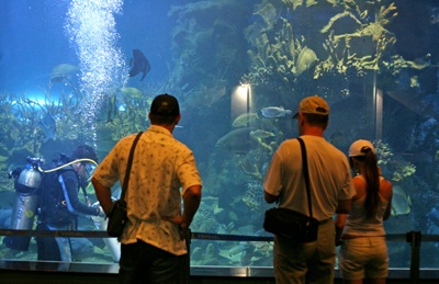 Chiêm ngưỡng thuỷ cung Vinpearl! - 2