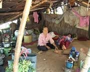 Thầy lang chăn vịt “chữa bách bệnh” - 2 Thầy lang chăn vịt “chữa bách bệnh” - 2