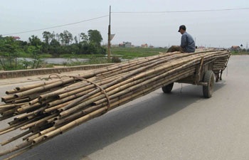 Nhan nhản xe “tự chế” kiểu mới - 8 Nhan nhản xe “tự chế” kiểu mới - 8