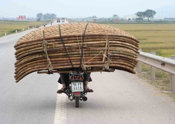 Nhan nhản xe “tự chế” kiểu mới - 2 Nhan nhản xe “tự chế” kiểu mới - 2