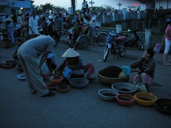 Lễ rước Phật cầu nguyện cho hòa bình thế giới - 4