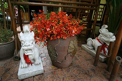 Chùm ảnh: Hoa phượng rực phố - 10 Chùm ảnh: Hoa phượng rực phố - 10