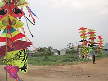 Đồng diều rực rỡ - 1