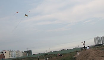 Đồng diều rực rỡ - 3