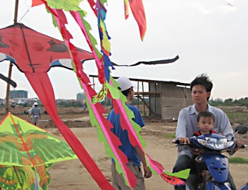 Đồng diều rực rỡ - 2