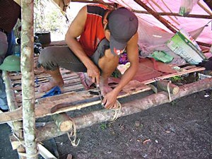 Toàn cảnh một cánh rừng bị tàn phá - 7 Toàn cảnh một cánh rừng bị tàn phá - 7