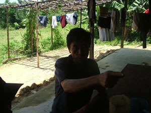 Toàn cảnh một cánh rừng bị tàn phá - 9 Toàn cảnh một cánh rừng bị tàn phá - 9