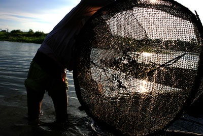 Đập Đá: Sáng - trưa - chiều - tối  - 17