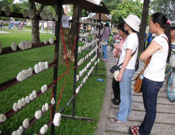 Truyện Kiều trên đá và bộ tranh làm từ cánh bướm - 2 Truyện Kiều trên đá và bộ tranh làm từ cánh bướm - 2