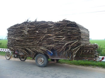 Những chuyến xe “độc nhất vô nhị” - 4