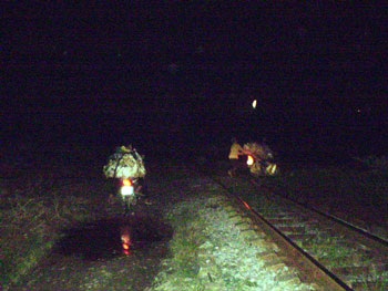 Rộn ràng gia cầm chưa kiểm dịch vào phố - 3