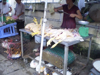 Rộn ràng gia cầm chưa kiểm dịch vào phố - 6