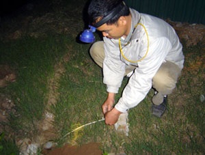 Săn chuột đêm - 1