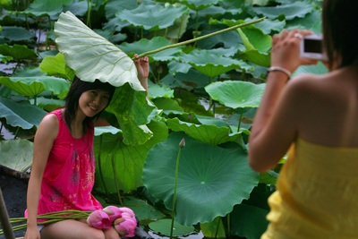 Chùm ảnh: Chơi sen - 9 Chùm ảnh: Chơi sen - 9