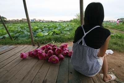 Chùm ảnh: Chơi sen - 10 Chùm ảnh: Chơi sen - 10