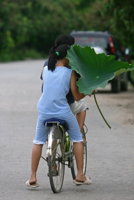 Chùm ảnh: Chơi sen - 11 Chùm ảnh: Chơi sen - 11