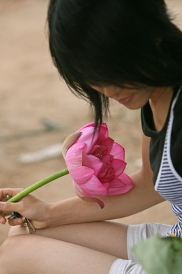 Chùm ảnh: Chơi sen - 15 Chùm ảnh: Chơi sen - 15