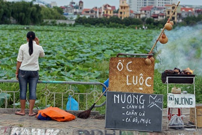 Chùm ảnh: Chơi sen - 17 Chùm ảnh: Chơi sen - 17