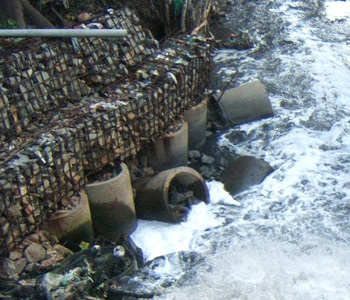 Đến “thăm” dòng kênh thối - 1