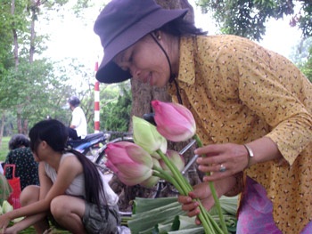 Nồng nàn sen Huế! - 1 Nồng nàn sen Huế! - 1