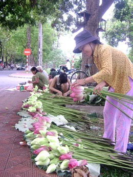 Nồng nàn sen Huế! - 3 Nồng nàn sen Huế! - 3