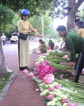 Nồng nàn sen Huế! - 4 Nồng nàn sen Huế! - 4
