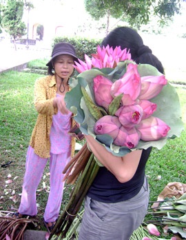 Nồng nàn sen Huế! - 6 Nồng nàn sen Huế! - 6