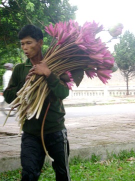 Nồng nàn sen Huế! - 8 Nồng nàn sen Huế! - 8