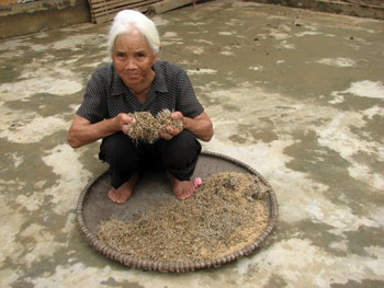 Ám ảnh những gương mặt người sau lũ! - 7 Ám ảnh những gương mặt người sau lũ! - 7