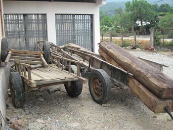 “Giáp lá cà” với lâm tặc - 4 “Giáp lá cà” với lâm tặc - 4